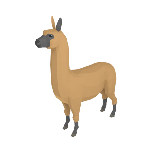 alpaca